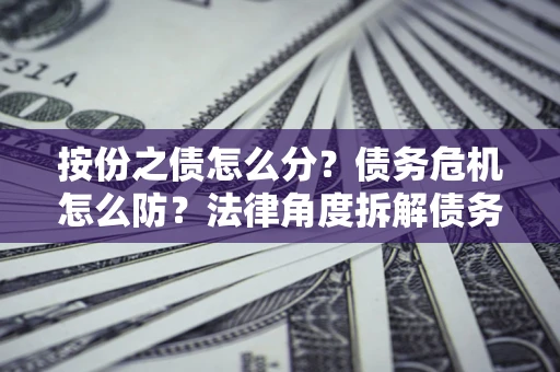 武汉按份之债怎么分？债务危机怎么防？法律角度拆解债务分配与风险自保指南