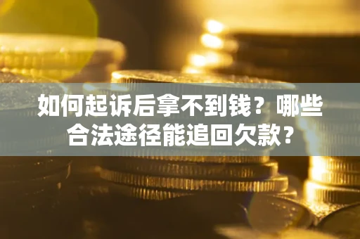 武汉如何起诉后拿不到钱？哪些合法途径能追回欠款？