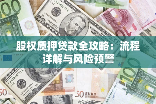 武汉股权质押贷款全攻略：流程详解与风险预警