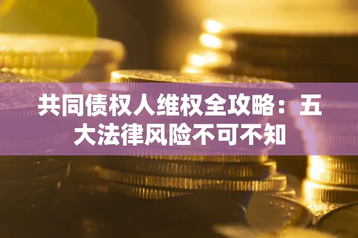 武汉共同债权人维权全攻略：五大法律风险不可不知