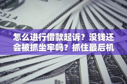 武汉怎么进行借款起诉？没钱还会被抓坐牢吗？抓住最后机会！