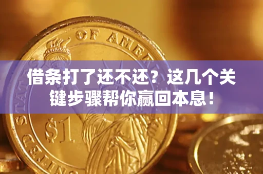 武汉借条打了还不还？这几个关键步骤帮你赢回本息！