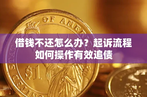 武汉借钱不还怎么办？起诉流程如何操作有效追债