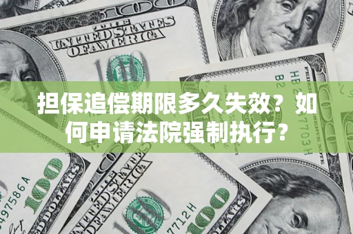 武汉担保追偿期限多久失效？如何申请法院强制执行？