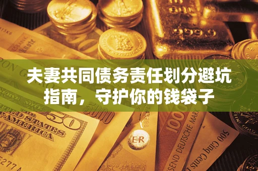 武汉夫妻共同债务责任划分避坑指南，守护你的钱袋子