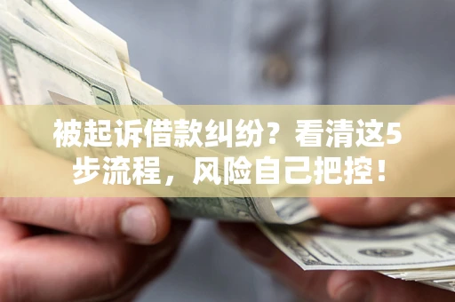 武汉被起诉借款纠纷？看清这5步流程，风险自己把控！