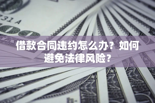 武汉借款合同违约怎么办？如何避免法律风险？