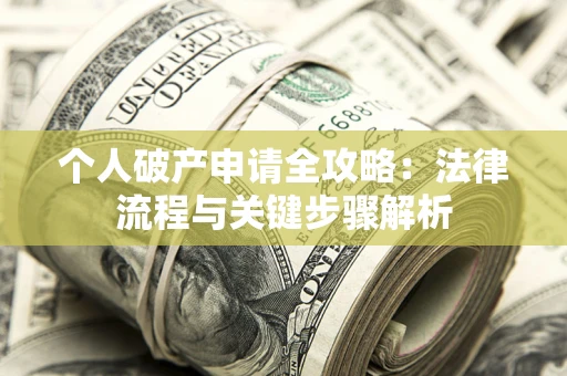 武汉个人破产申请全攻略：法律流程与关键步骤解析