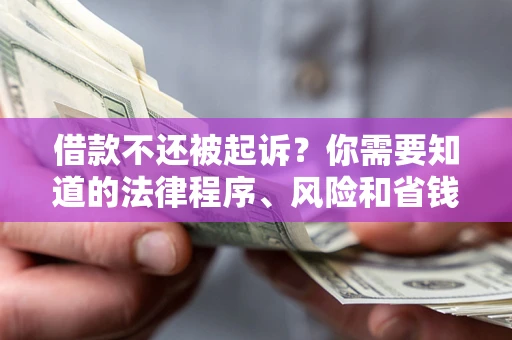 武汉借款不还被起诉？你需要知道的法律程序、风险和省钱技巧